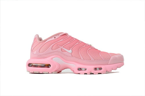Nike Air Max Plus City Special Atlanta DH0155-600