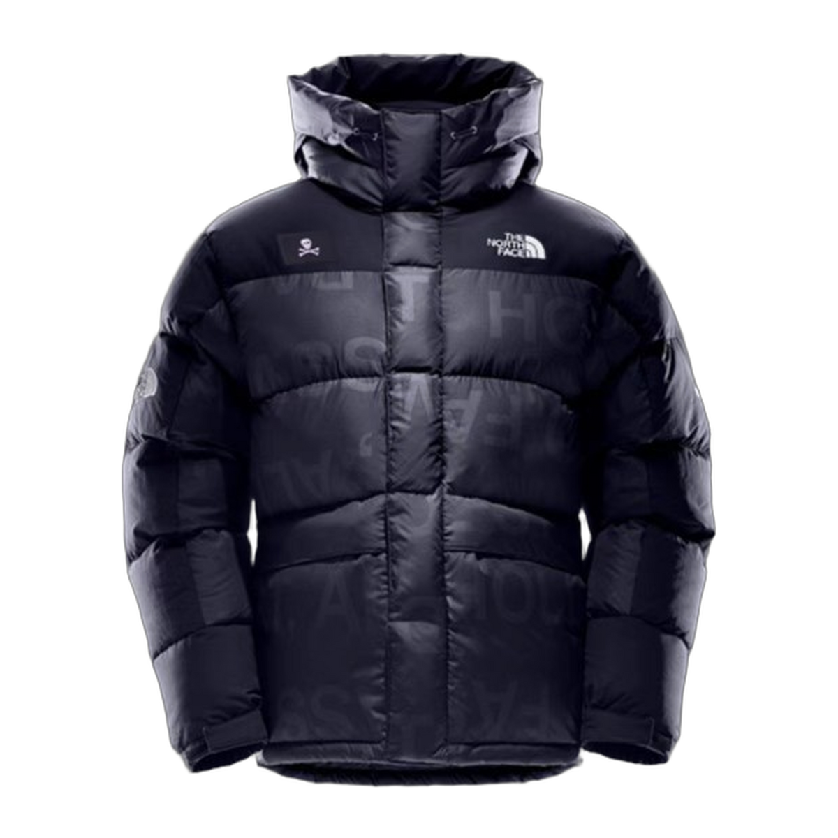 The North Face Urban Exploration Down Parka – Style 5J27 | 380-Fill