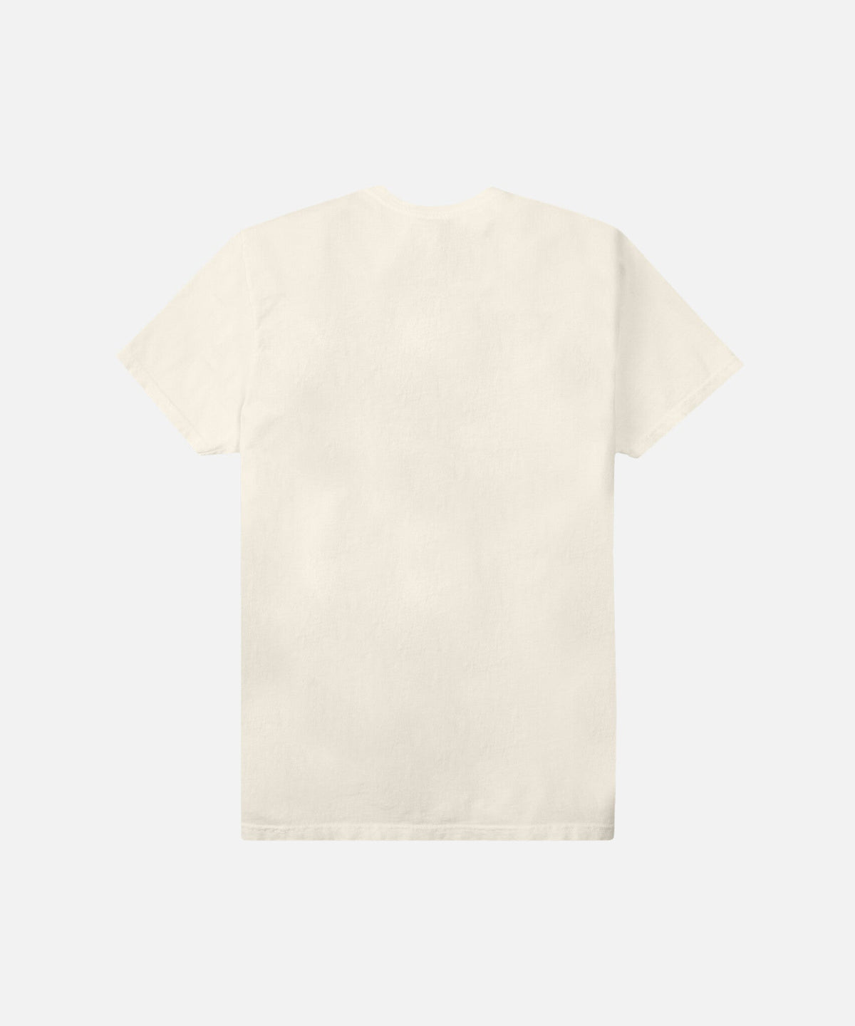 Paper Planes Bear Tee